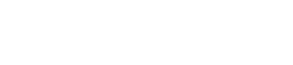 CloudBird